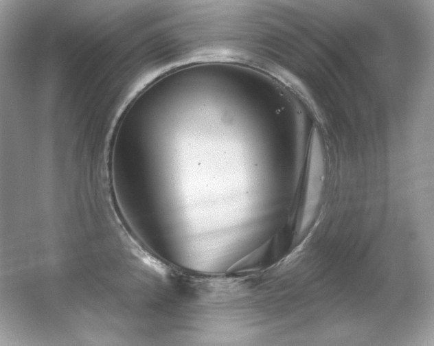 X0000065261192200602171446