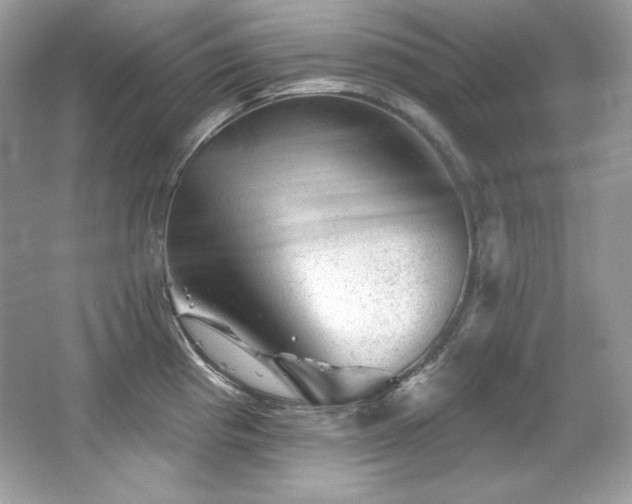 X0000065261193200602171446