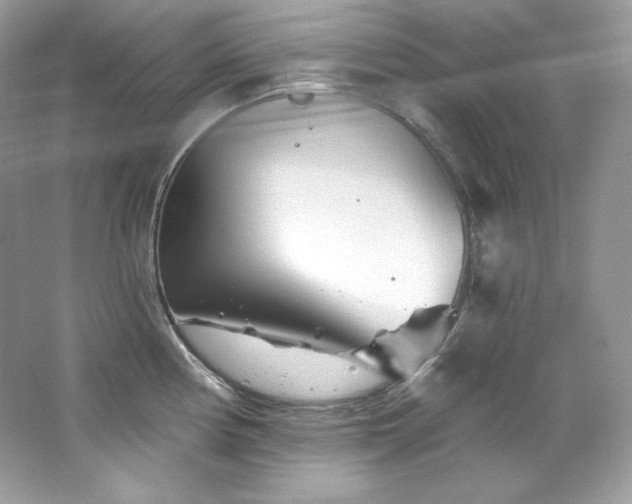 X0000065261194200602171446