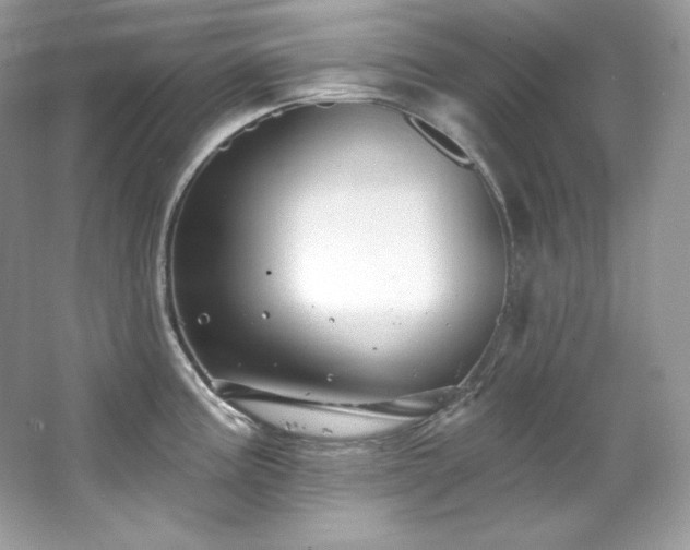 X0000065261195200602171446