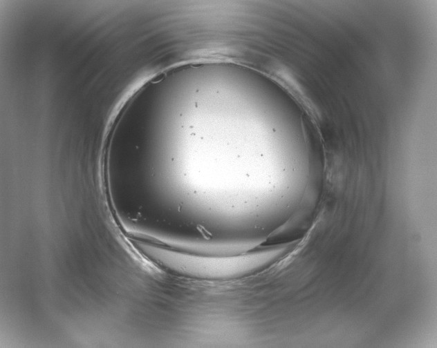 X0000065261196200602171446