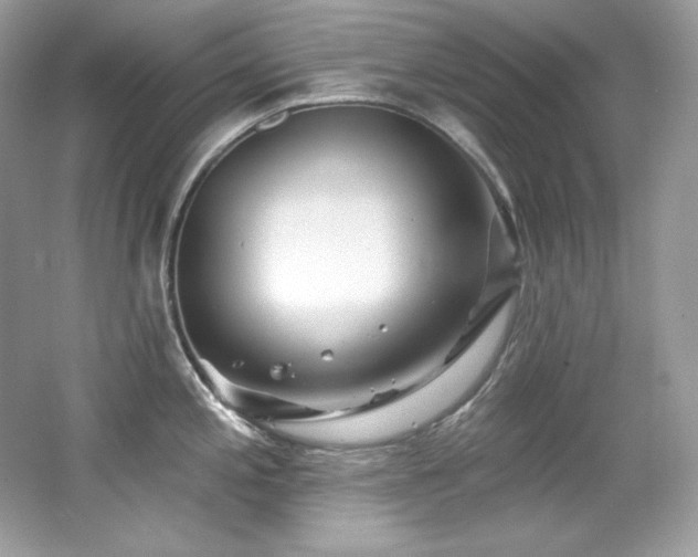 X0000065261197200602171446