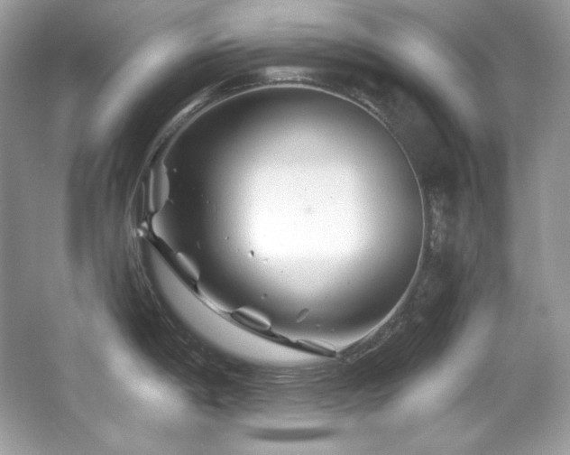 X0000065261198200602171446