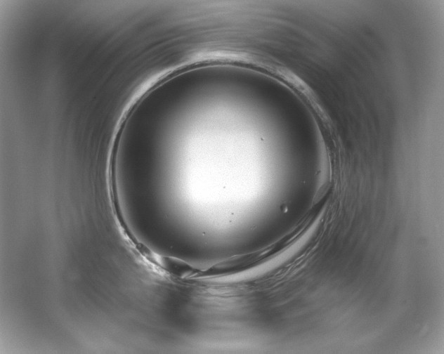 X0000065261199200602171446