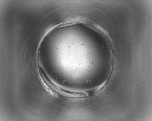 X0000065261200200602171446