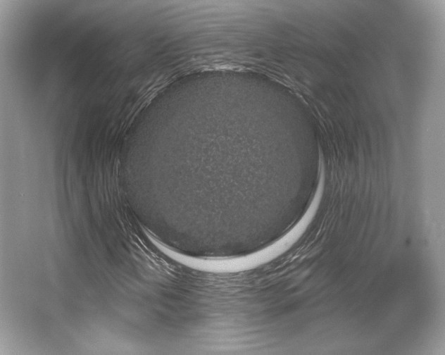 X0000065261202200602171445