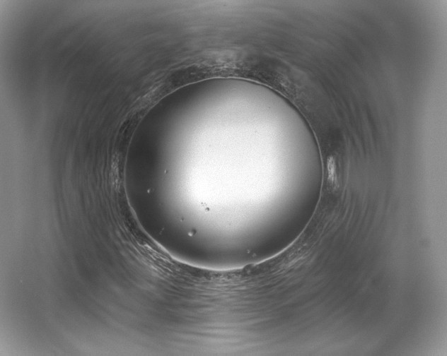 X0000065261203200602171445