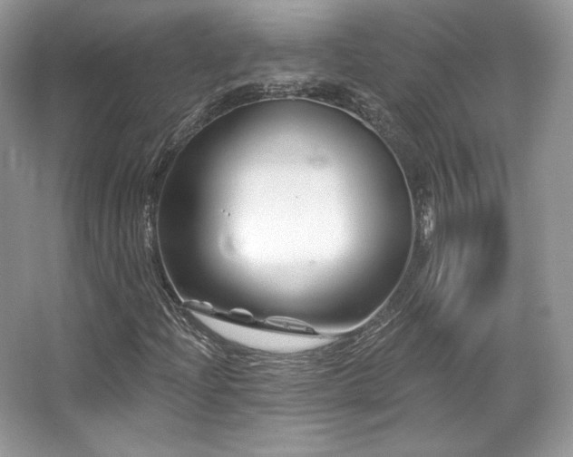 X0000065261204200602171445