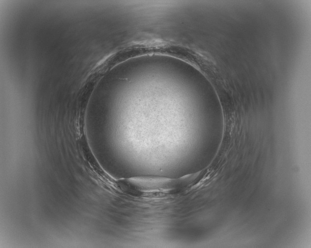 X0000065261205200602171445