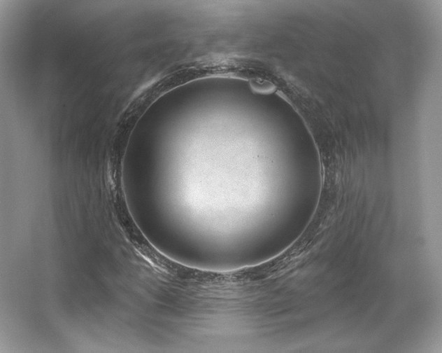 X0000065261206200602171445