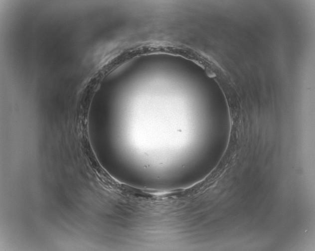 X0000065261207200602171445