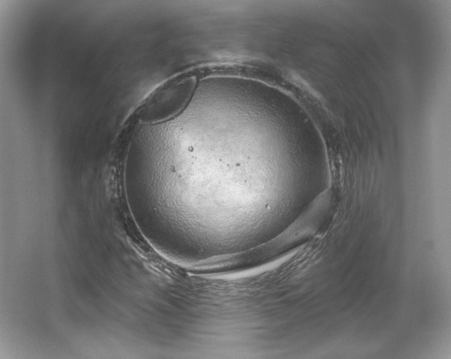 X0000065261208200602171445