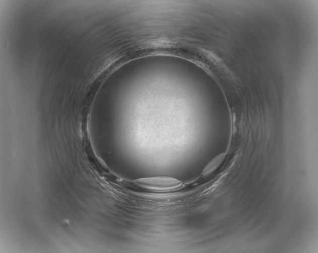 X0000065261209200602171445