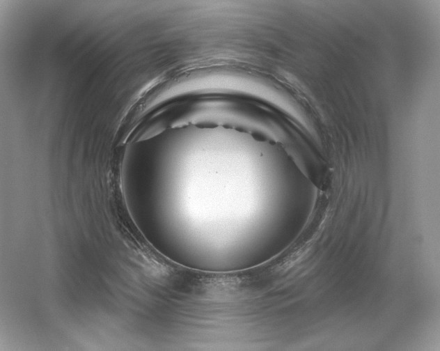 X0000065261210200602171445