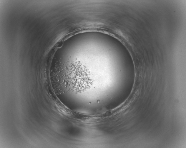 X0000065261211200602171445