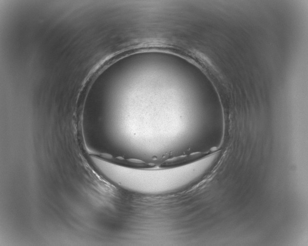 X0000065261212200602171445