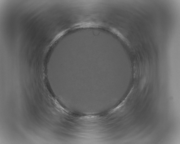 X0000065261213200602171445