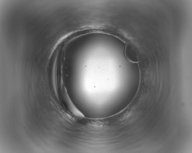 X0000065261214200602171445