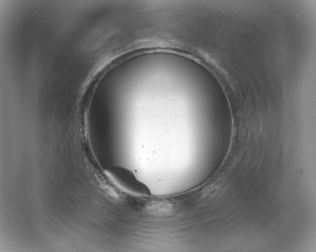 X0000065261215200602171445