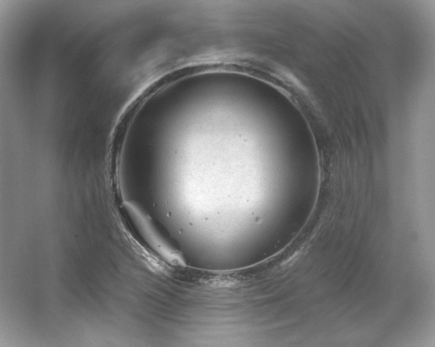 X0000065261216200602171445