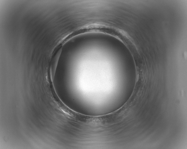 X0000065261217200602171445