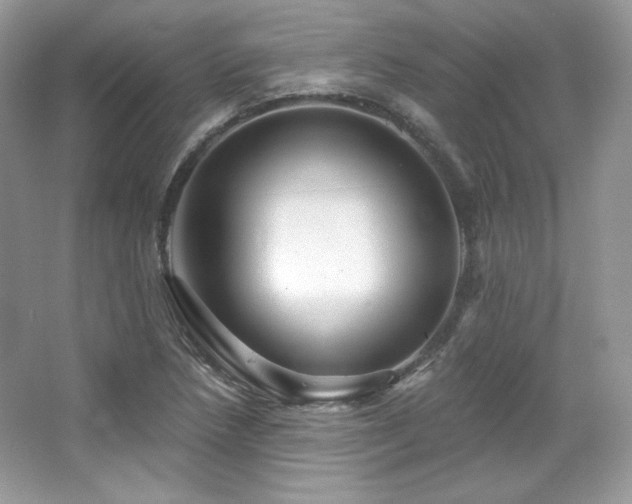 X0000065261218200602171445