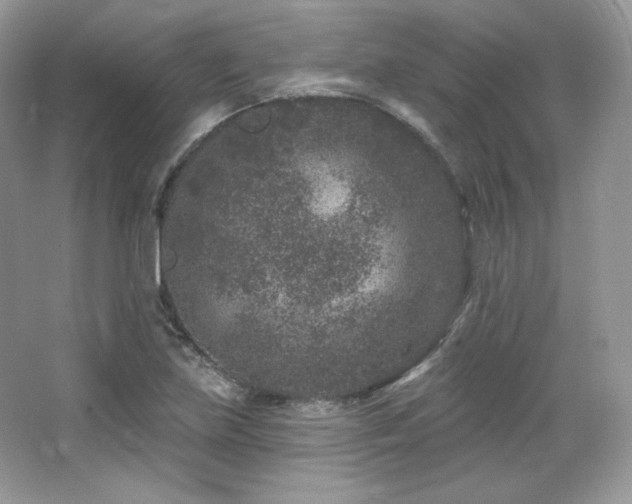 X0000065261219200602171445