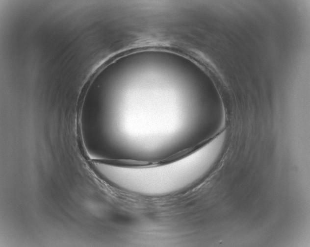 X0000065261220200602171446