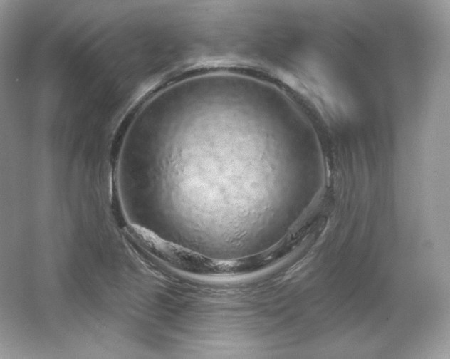 X0000065261221200602171446