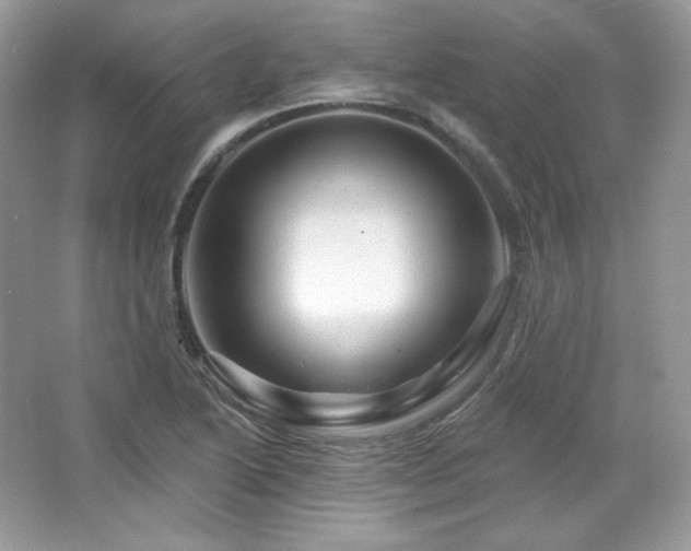 X0000065261222200602171446