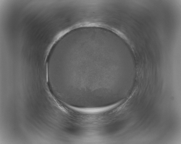 X0000065261223200602171446