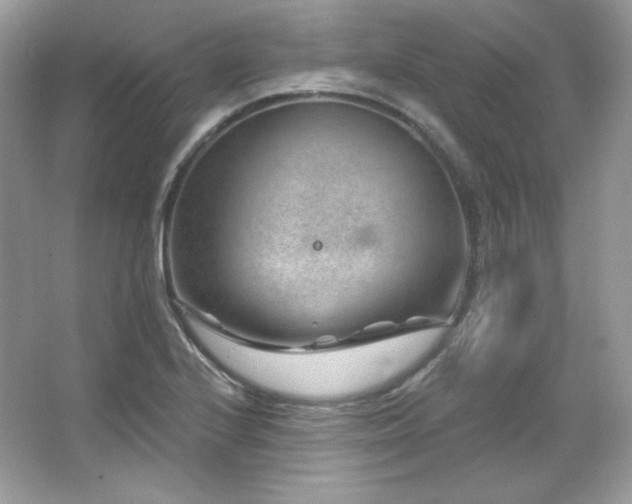 X0000065261224200602171446