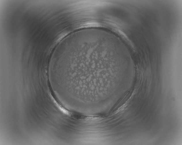 X0000065261225200602171446