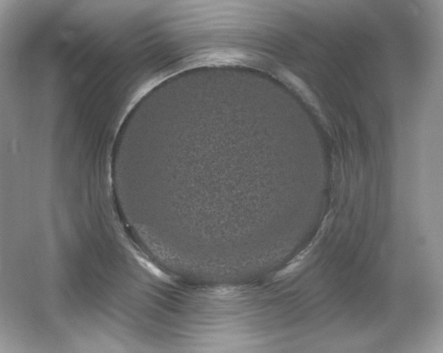 X0000065261226200602171446