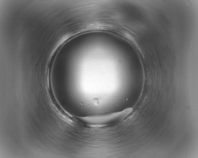 X0000065261227200602171446