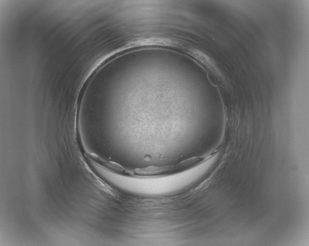 X0000065261228200602171446