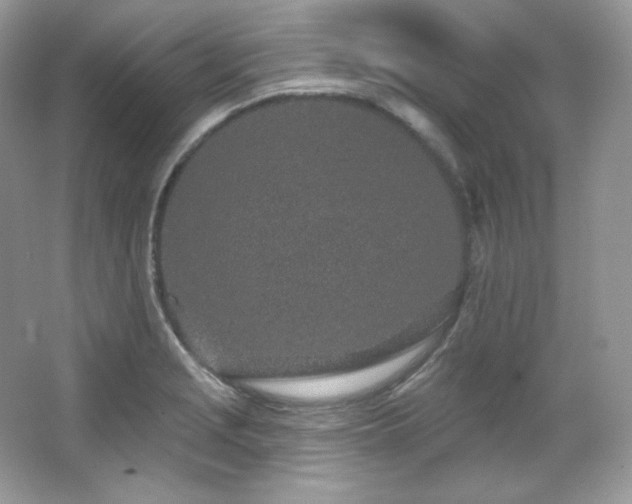 X0000065261229200602171446