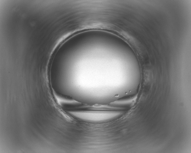 X0000065261230200602171446