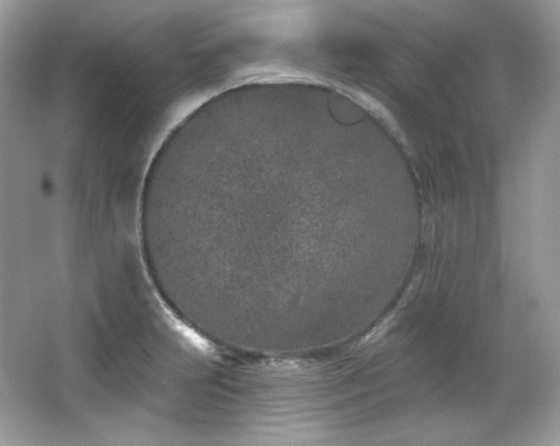 X0000065261231200602171446