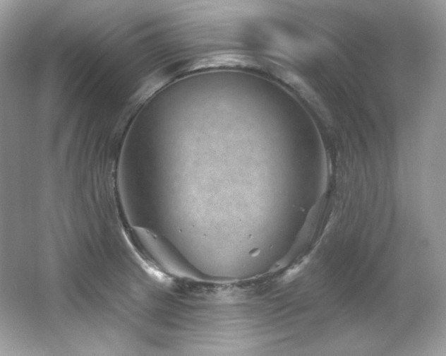 X0000065261233200602171446