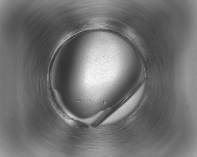 X0000065261234200602171446