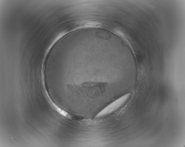 X0000065261235200602171446