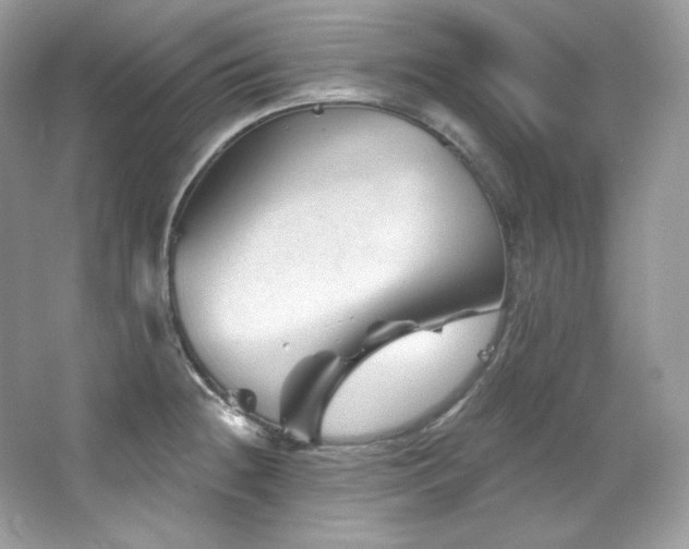 X0000065261236200602171446