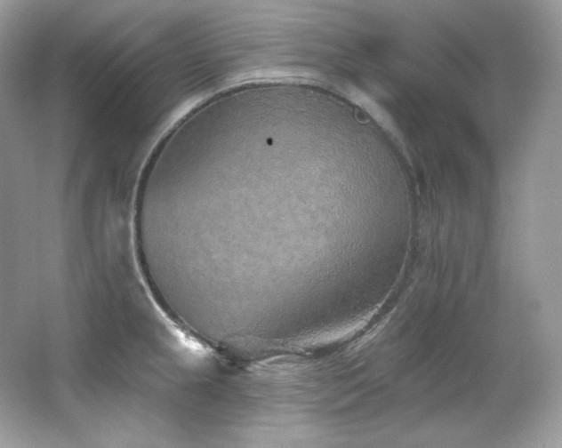 X0000065261237200602171446