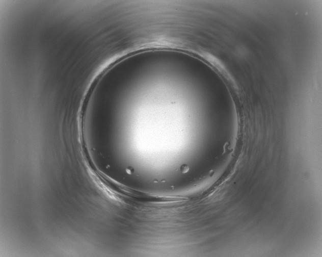 X0000065261238200602171446