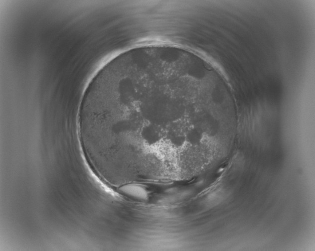 X0000065261239200602171446