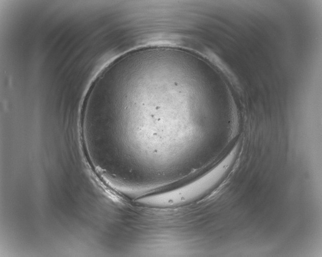 X0000065261240200602171446