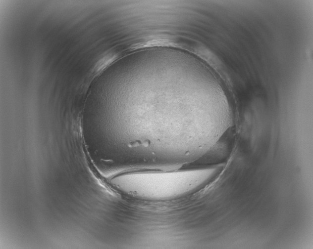 X0000065261241200602171446