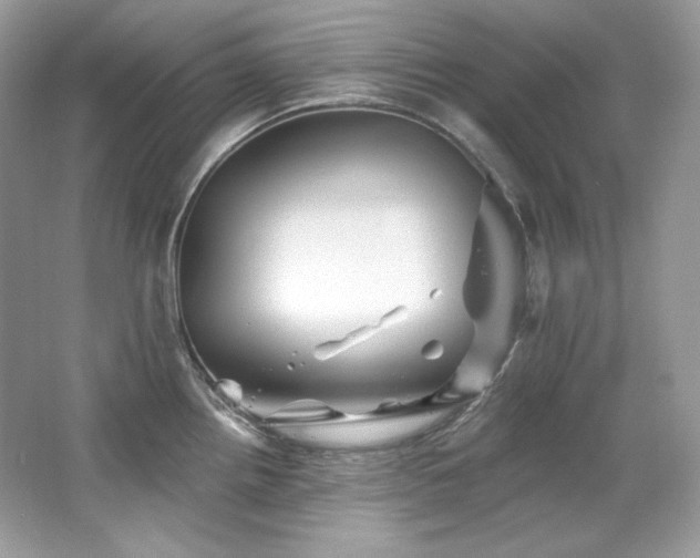 X0000065261242200602171446