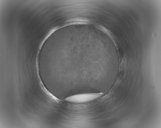 X0000065261243200602171446